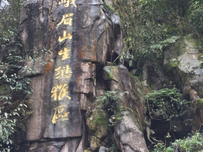 上海香磨山景区：天下第一奇山，地下河仙境，民族风采尽显，生态天堂一览无遗