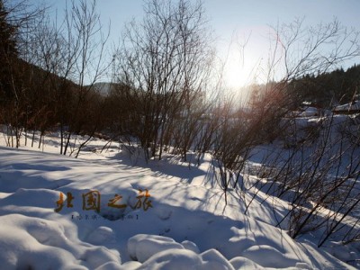 上海北国冰雪世界：梦幻冬季之旅