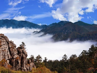 上海神农架：秘境之旅，云海奇观，草原牧歌，探寻世外桃源