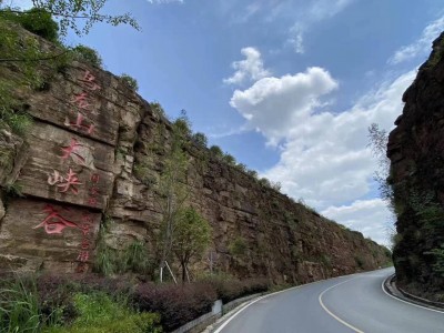 上海景区管理秘籍，打造让人惊艳的旅行体验